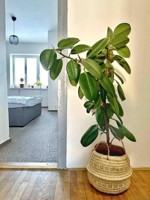 Apartment Bright And With A Balcony *