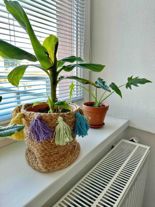 Bright And With A Balcony Apartment